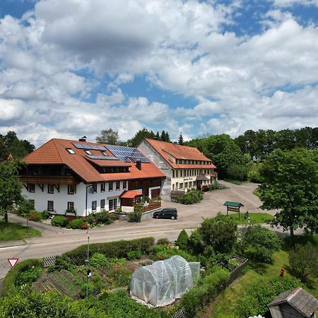 Haus Schlageter Apartment Dachsberg im Schwarzwald Luaran gambar