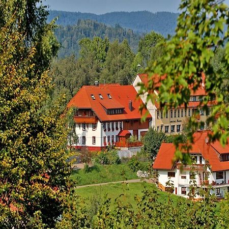 Haus Schlageter Apartment Dachsberg im Schwarzwald Luaran gambar
