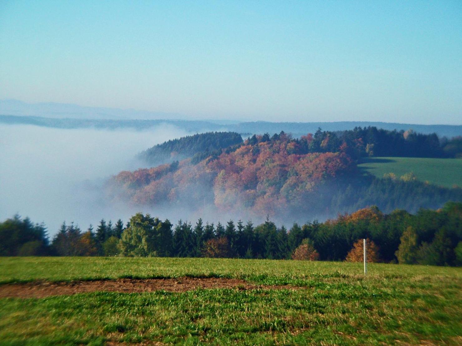 Haus Schlageter Apartment Dachsberg im Schwarzwald Luaran gambar