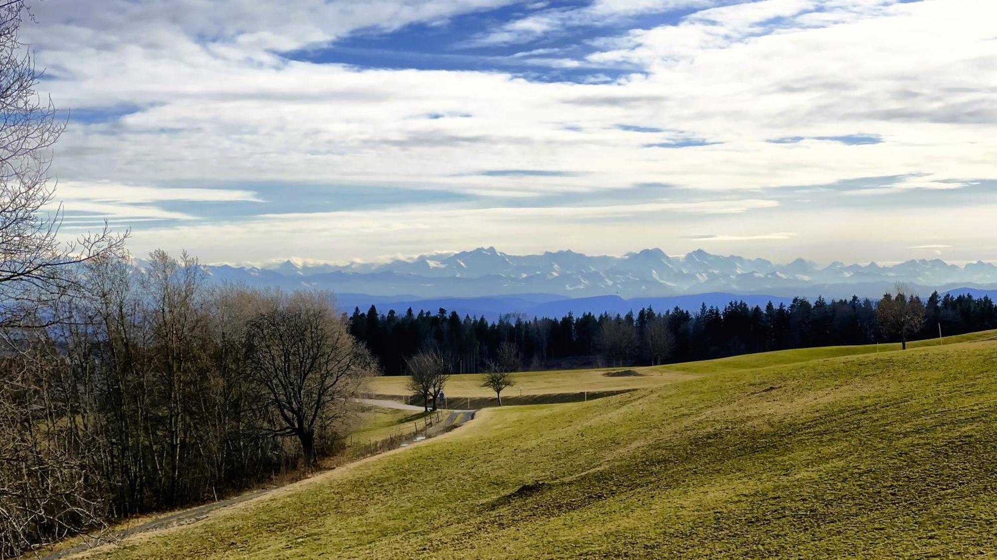 Haus Schlageter Apartment Dachsberg im Schwarzwald Luaran gambar