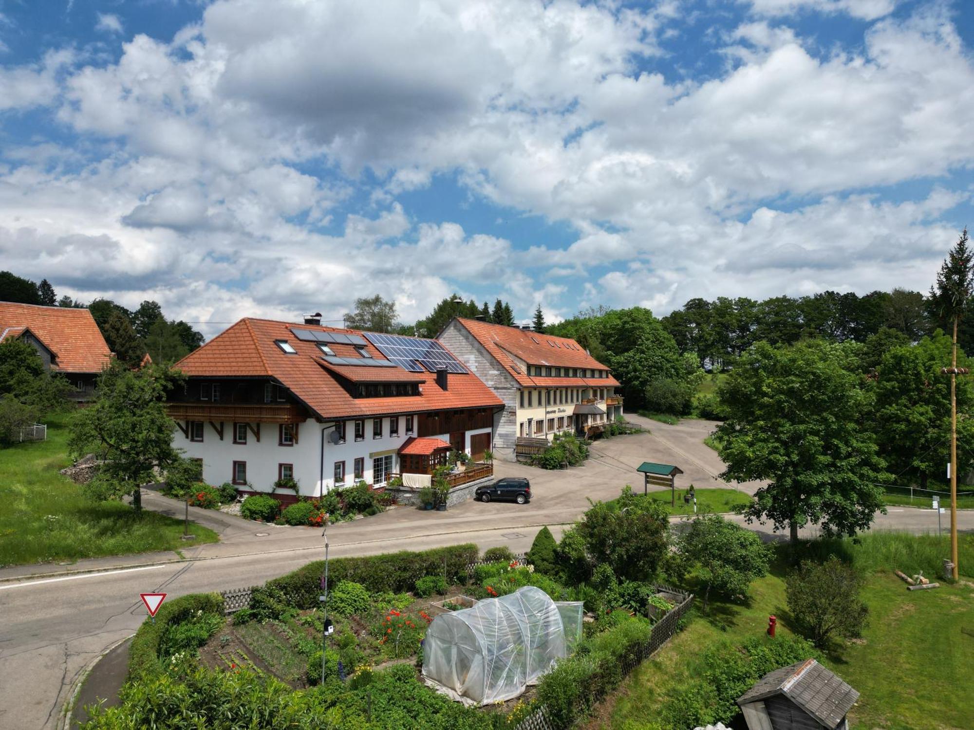 Haus Schlageter Apartment Dachsberg im Schwarzwald Luaran gambar